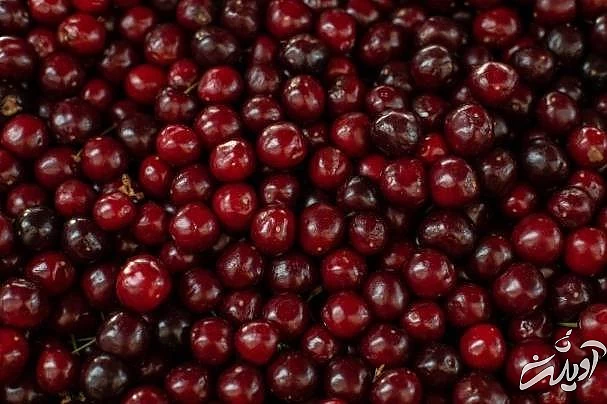 خاصیت آلبالو